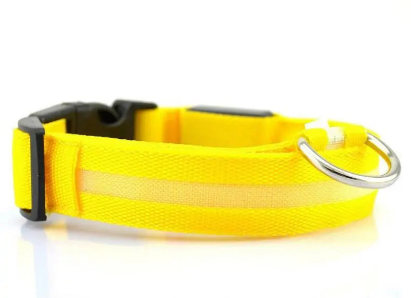 LED Pet Dog Collar for Night Safety, Nylon Leash with Glow-in-the-Dark Feature