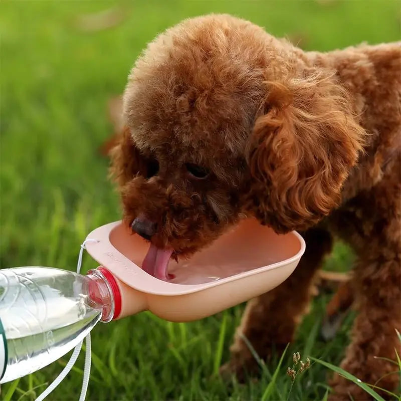 Portable Pet Dog Water Bottle